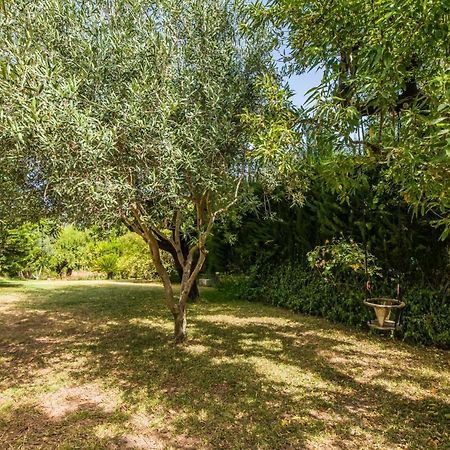 Гостьовий будинок Ideal Property Mallorca - Can Reure Інка Екстер'єр фото