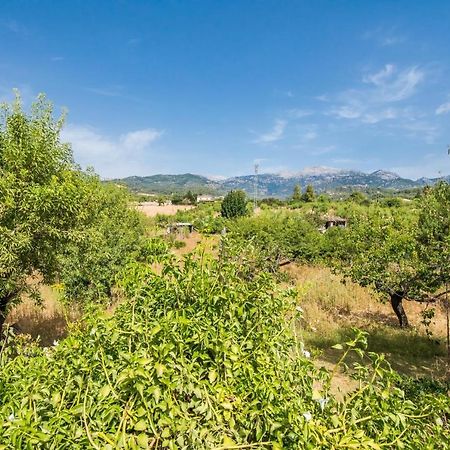 Гостьовий будинок Ideal Property Mallorca - Can Reure Інка Екстер'єр фото